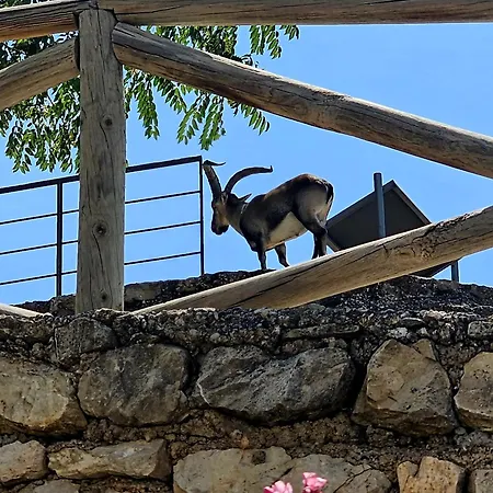 La Mocha La Casa De Ani Сasa de vacaciones La Iruela